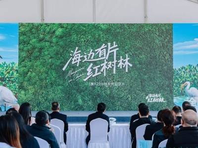 世界湿地日，广东“小微湿地+”“湿地公园+”试点建设名单发布！