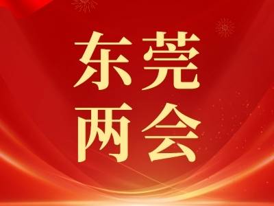 东莞市政协联组讨论：发展做“减量”，城市提“质量”｜东莞两会