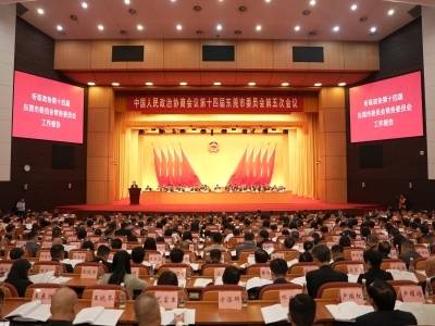 东莞“两会”进行时，来看看滨海湾的“金点子”→