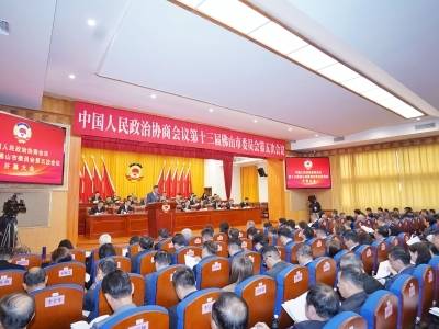 去年佛山三类提案最多，今年四大方面再加码｜聚焦两会