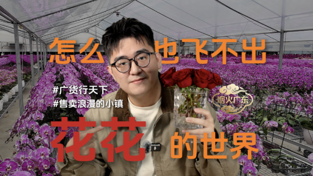 误闯“花花世界”！第一缕年味是鲜花给的｜烟火广东
