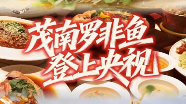 茂南罗非鱼登上央视