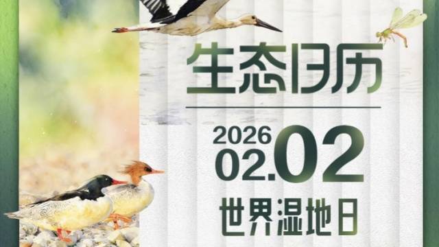 生态日历｜到广东的湿地静候春天