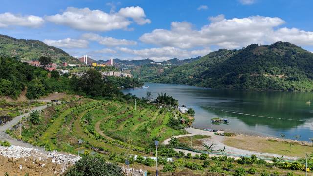 背靠北盘江的“美荔传说”荔枝园已初具规模。