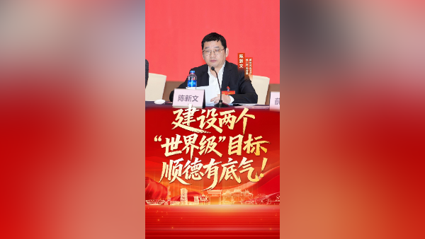 陈新文：提出两个“世界级”目标，顺德有底气｜聚焦两会