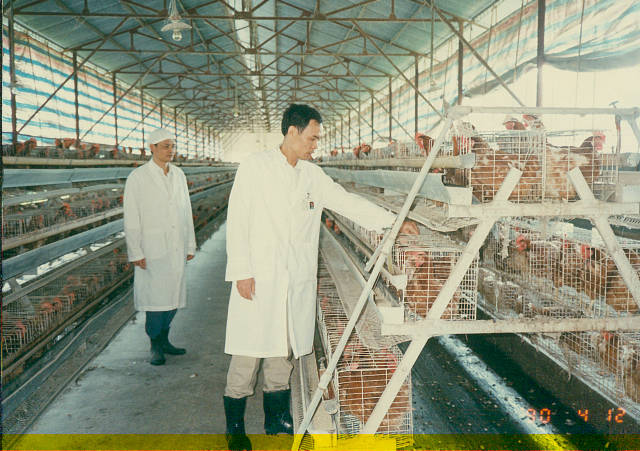 20世纪90年代，谭钜添在养鸡场指导。