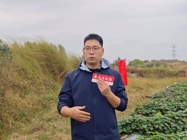 广东省农业科学院作物研究所副研究员杨义伶 广东省农业科学院作物研究所副研究员杨义伶