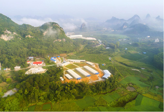 大化瑶族自治县七百弄鸡产业核心示范区