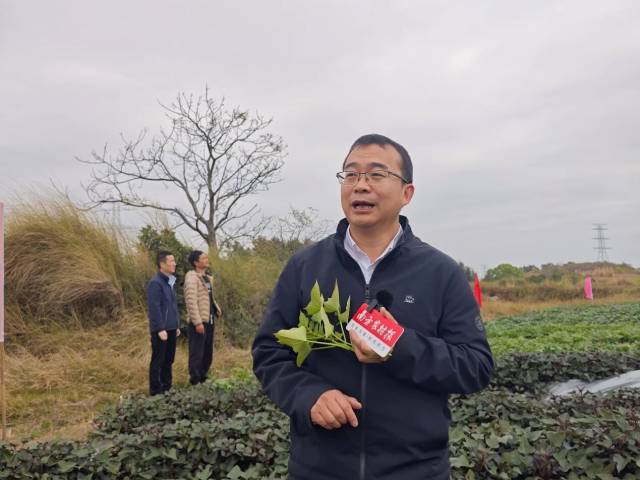 广东省农科院作物研究所研究员黄立飞 广东省农科院作物研究所研究员黄立飞