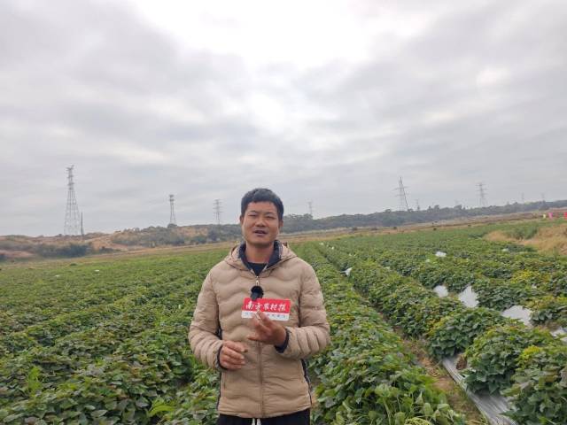 植物龙甘薯种植技术员李佳逢 植物龙甘薯种植技术员李佳逢