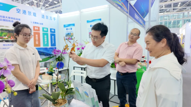 四会兰花亮相2025国际机场博览会。