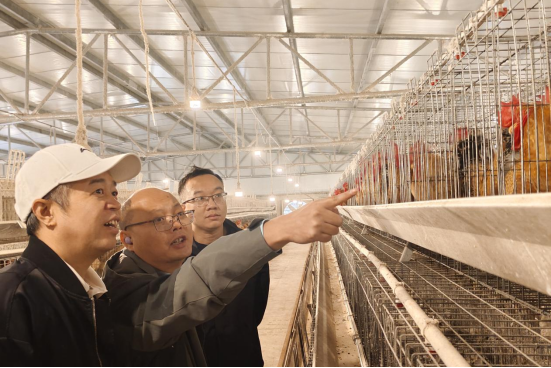 广东科贸学院科技特派员团队到大化开展技术指导