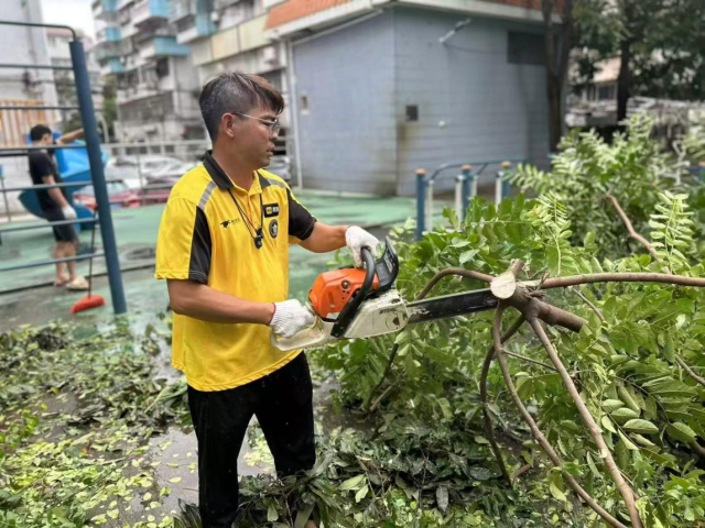 “桦加沙”过境后，朱林锋协助清运倒伏树木。（受访者供图）
