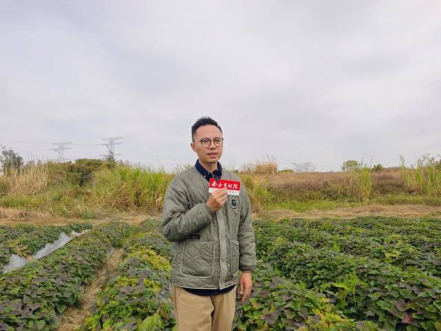 广东省农业科学院作物研究所助理研究员唐朝臣 广东省农业科学院作物研究所助理研究员唐朝臣