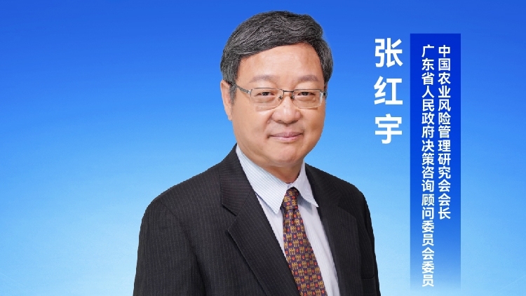 张红宇：准确把握中央部署，扎实推进乡村振兴 | 专家解读一号文件①