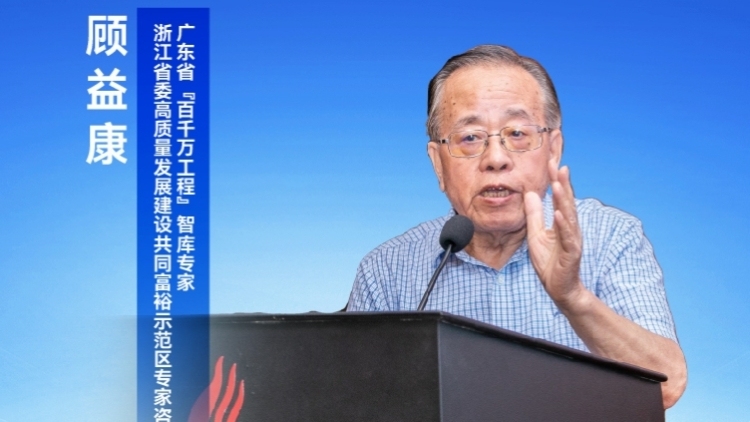顾益康：创新乡村片区化组团，探索组建“强团公司” | 专家解读一号文件②