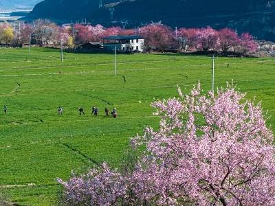 2026年中央一号文件有哪些新提法？