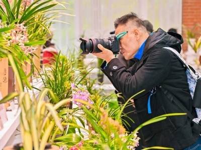 广货行天下，兰香飘万家！粤港澳大湾区兰花精品展销汇启幕