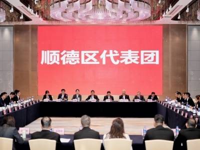 “再给我们一点时间，‘可怕的顺德人’正在回来”｜聚焦两会