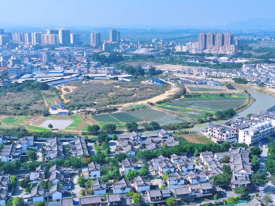 CCTV-17关注报道！粤桂协作绘振兴，田阳焕彩启新程