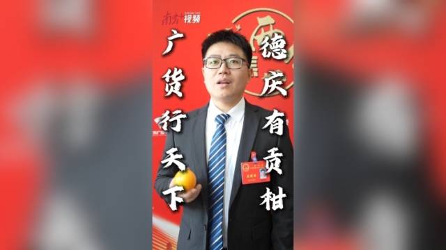 广货行天下，德庆有贡柑｜人大代表“心水好物”