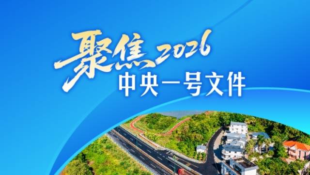 一图速览2026年中央一号文件