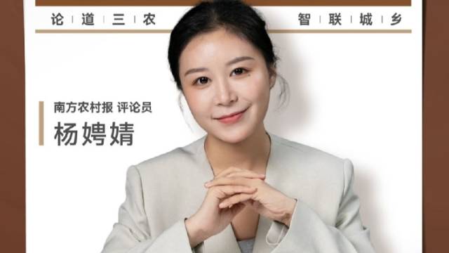 兴农评丨乡亲齐心清路障，情暖返乡游子心