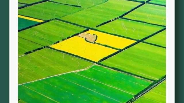 中央一号文件强调：健全永久基本农田优进劣出管理机制