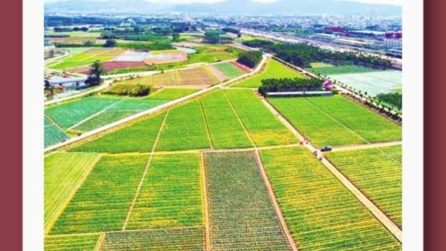 中央一号文件强调：长时间大面积流转土地应加强风险监测预警