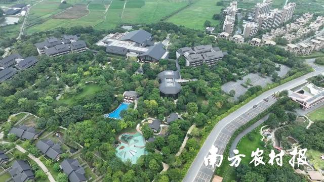 清远市清新区三坑镇温泉资源丰富。