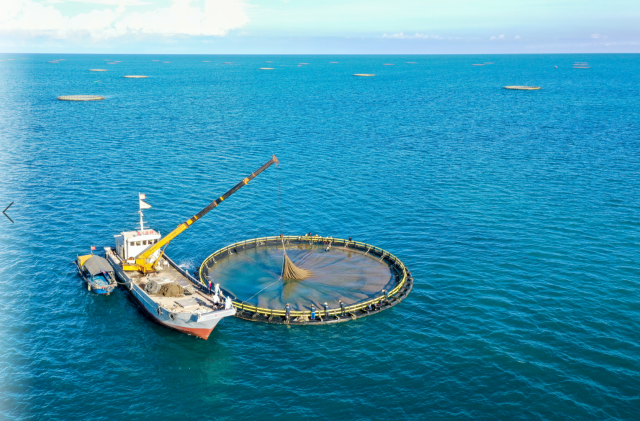 深水养殖网箱。