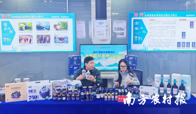 媒体+粤黔协作“乡村振兴购物车”产地溯源公益直播行动探访麻江蓝莓。