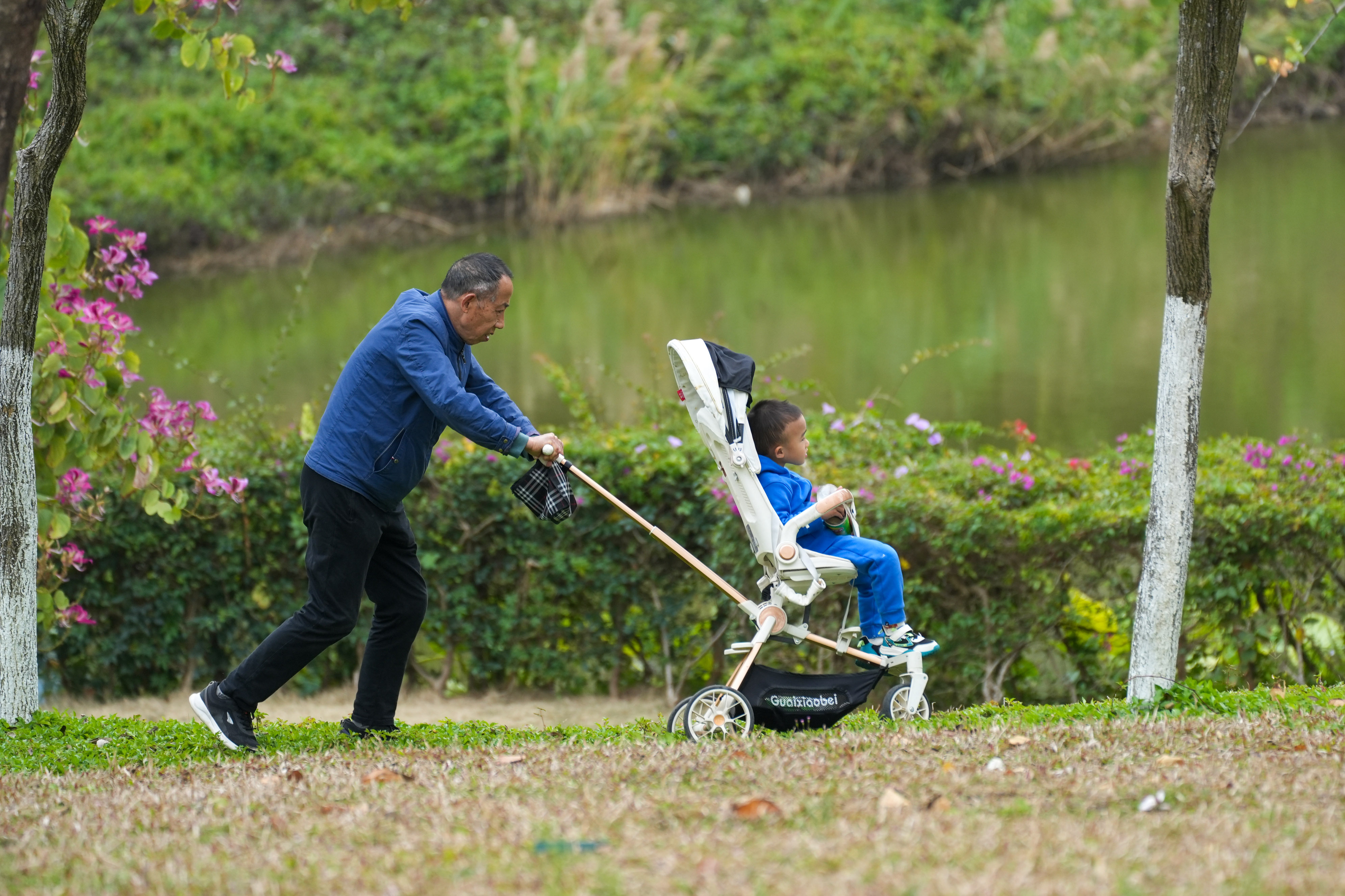 祖孙俩在草地上踏青。&nbsp;