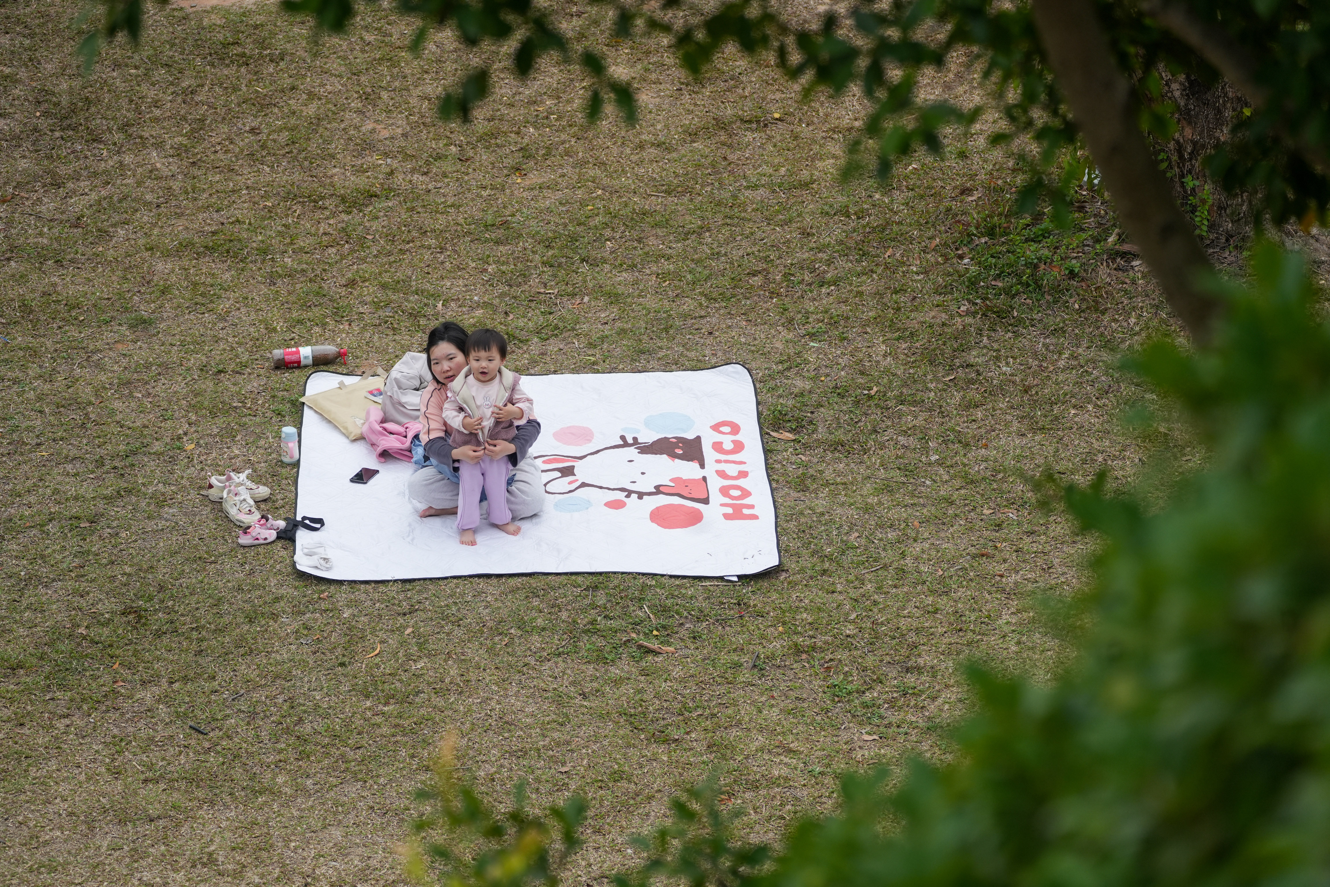 母女在大树下小憩。