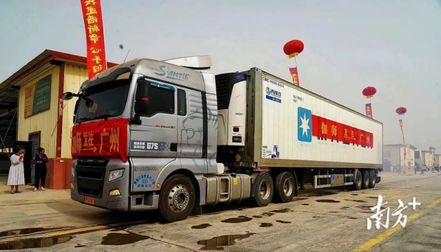 伽师瓜从原产地发车运往广东。