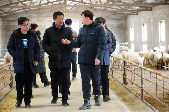 广东海洋大学滨海农业学院院长马驿和甘尚权研究员赴喀什兴泰畜牧养殖有限公司现场指导。