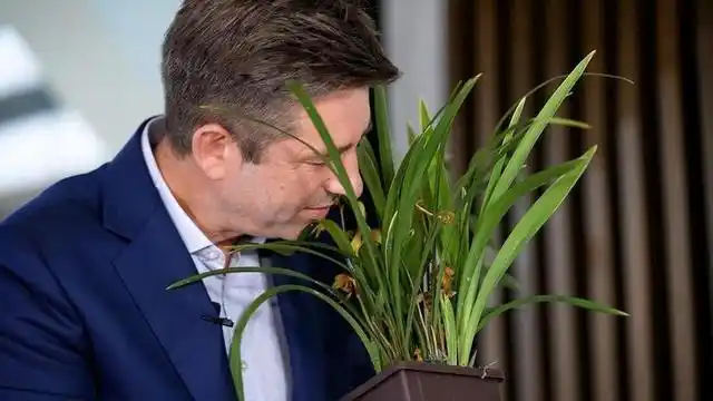 胡润和四会兰花。