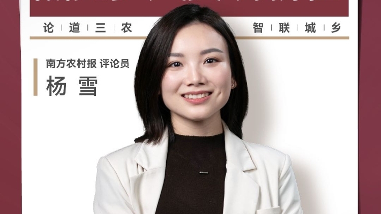 兴农评｜为女孩点亮的灯 照亮乡风文明新程