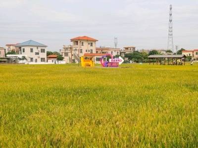 提高富农效能，中山拟打造强村公司示范点｜中山两会