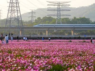 2026年春运，广州铁路民航客运量有望创历史新高
