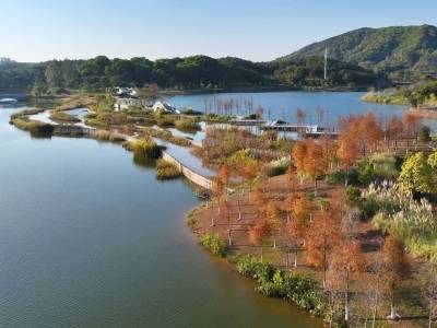 “十五五”广东自然资源怎么干？这场会议划重点！