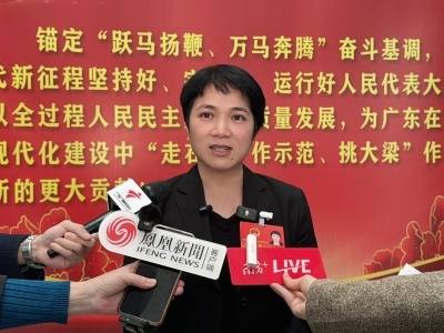 翠亨新区党工委书记、南朗街道党工委书记罗绮冬：以“六个新”打造融合新典范｜中山两会