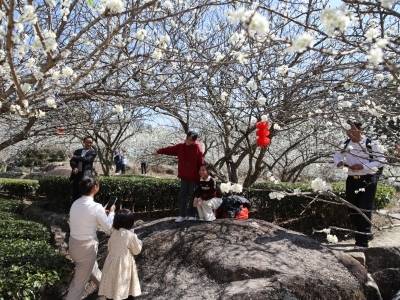 43场活动闹新春！梅州五华邀您解锁“文武同源”马年盛宴