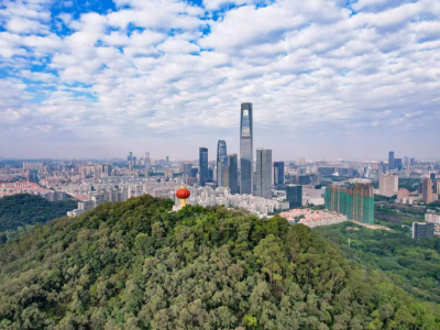 关系你的幸福生活，东莞人大代表最关心这些事→