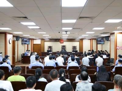 从这份年度答卷，看茂名检察高质效办好每一个案件