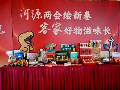 会场变秀场！“四小龙”、紫金蝉茶这些“广货”上会了丨两会听“河”