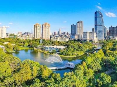 特写丨被赞保姆式服务，中山市委书记：能办的我们马上办