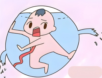 子宫“保护罩”破了，胎儿会“窒息”吗？