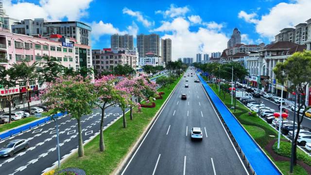 沙田大道。谢健文摄