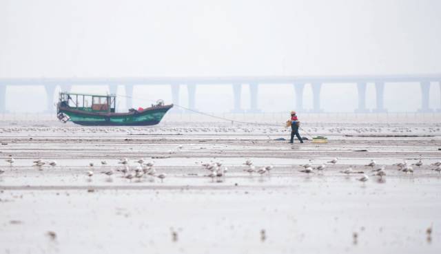 群鸟与渔民 陈浩/摄  